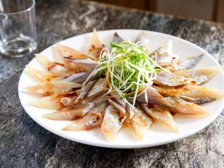 ���޺���Ƭ����������԰����������ɫ��Ʒ��