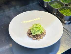 �������＾��˸���  15�궫�׳�Ƥ��Ѽ��